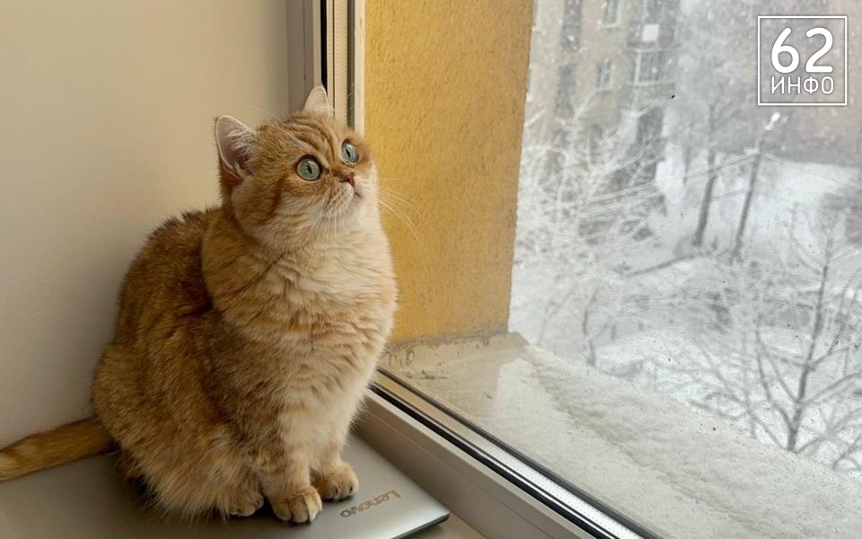 Рязанцев предупредили о снегопаде утром 13 апреля  - 62ИНФО