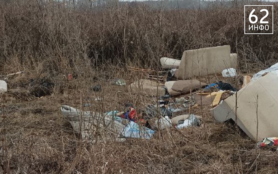 В Луковском лесу под Рязанью нашли свалку мебели - 62ИНФО