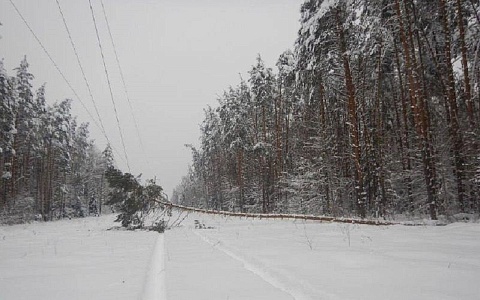 Из-за снегопада в регионе опять начались аварии на электросетях