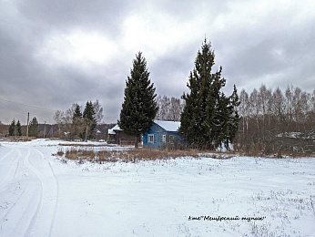 В Telegram показали фото почти заброшенной рязанской деревни