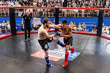 В рязанском Лесопарке прошёл турнир ММА «Битва за Рязань»