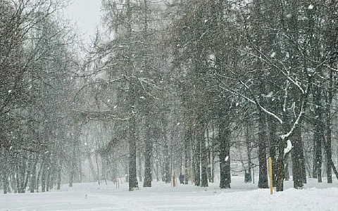 В ближайший час в регионе испортится погода