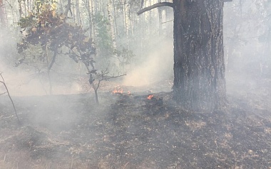 По ту сторону реки: как тушат пожары в рязанских лесах