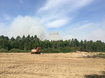 По ту сторону реки: как тушат пожары в рязанских лесах