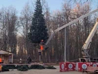 В Рязани установили первую новогоднюю ель