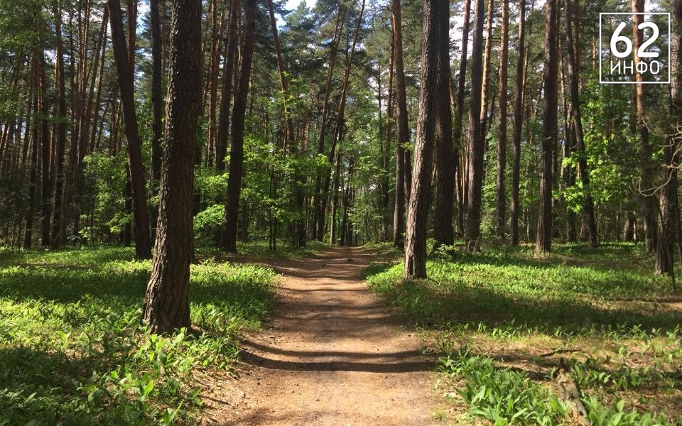 В Рязанской области во время пожароопасного сезона провели 10 тысяч рейдов - 62ИНФО