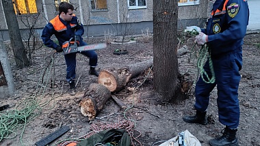 В Рязани упавшее из-за ветра дерево рухнуло на балкон