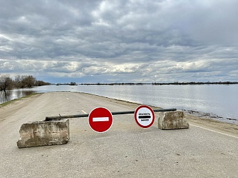 Рязанское море: фото разлива Оки