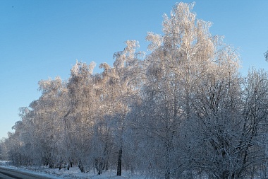 Рязанская епархия показала фотографии митрополита Марка - 62ИНФО Рязанская епархия показала фотографии митрополита Марка