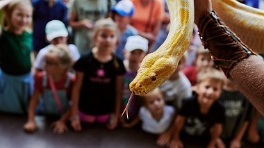 В Рязани открылась выставка в честь 105-летия Российского цирка