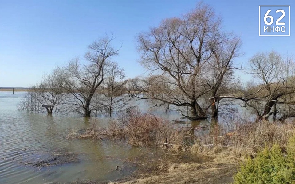 Вода в Оке у Рязани опять пошла на спад - 62ИНФО