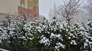 Фоторепортаж: в Рязани 15 ноября выпал первый снег