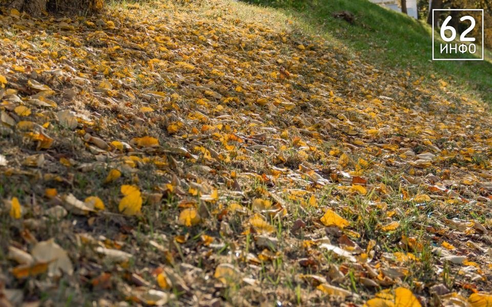 В Рязанской области 12 ноября будет до +3 градусов - 62ИНФО