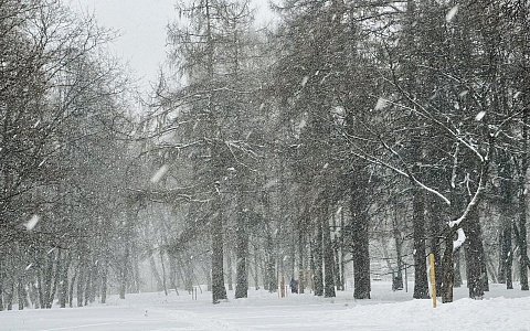 Снег в восьми и ветер в двух районах: погода в Рязанской области на 28 февраля