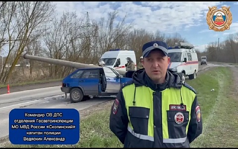 В Скопинском районе водитель "ВАЗ" врезался в столб и погиб