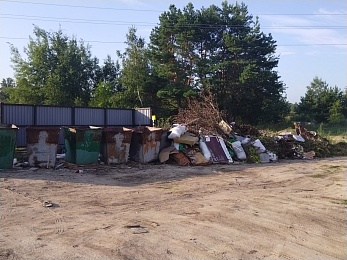 В Спас-Клепиках через суд пытаются обязать убрать две свалки