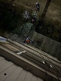 Спасатели вызволили спрыгнувшую с 4 этажа кошку в Рязани