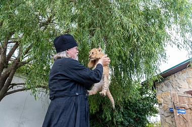 Митрополит Марк познакомился с львенком из Ряжского зоопарка