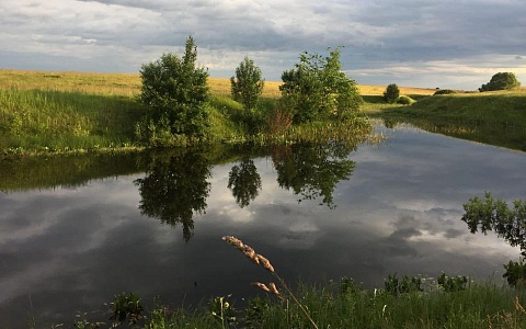 В России провели работы по оздоровлению водоёмов на 3,6 тысяч гектаров