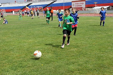Путь к успеху. В Рязани прошёл День здоровья и спорта 