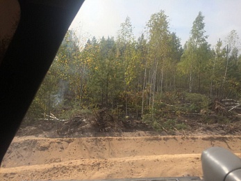 По ту сторону реки: как тушат пожары в рязанских лесах