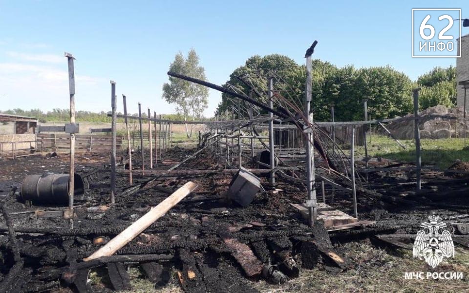 Хозпостройка сгорела до основания в селе Погореловка Ухоловского района - 62ИНФО