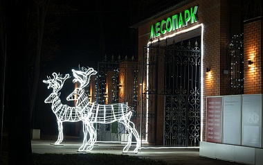 Рязанский Лесопарк готовится к Новому году