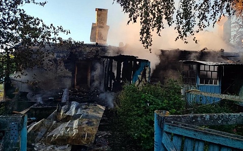 "Пострадали три семьи": под Шацком потушили масштабный пожар