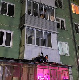 Спасатели вызволили спрыгнувшую с 4 этажа кошку в Рязани