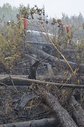 Дым без огня. Как выглядит лесной пожар под Рязанью спустя неделю 