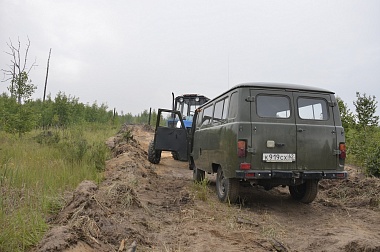 Дым без огня. Как выглядит лесной пожар под Рязанью спустя неделю 