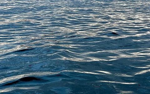 Пик на Оке и Мокше близок: половодье в Рязанской области 8 апреля