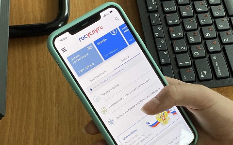 Совфед одобрил закон о подтверждении возраста через приложение Max