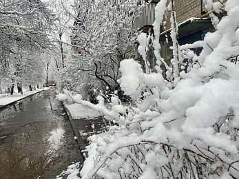 Снежное полнолуние марта сфотографировали в рязанской глубинке - 62ИНФО Снежное полнолуние марта сфотографировали в рязанской глубинке
