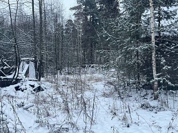 В рязанском лесу сфотографировали заброшки и лестницу в никуда - 62ИНФО В рязанском лесу сфотографировали заброшки и лестницу в никуда