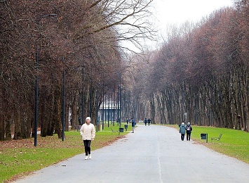 В Рязанской области обустроят 25 парков и скверов в 2023 году