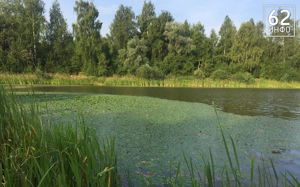 Из 2-го Борковского карьера в Рязани достали тело женщины - 62ИНФО