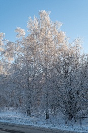 Рязанская епархия показала фотографии митрополита Марка - 62ИНФО Рязанская епархия показала фотографии митрополита Марка