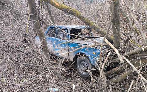 Житель Сараевского района не справился с управлением и вылетел в кювет