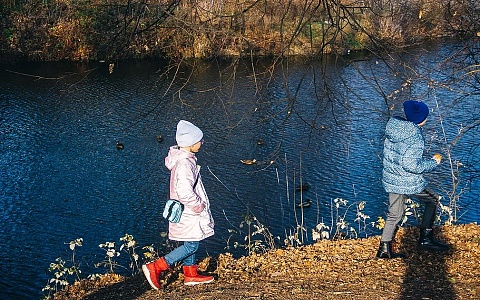 Рязанская область вошла в число регионов с наименьшим количеством беспризорников