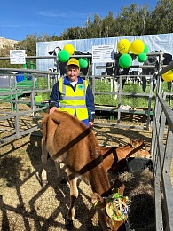 В Рязани провели праздник урожая «Спожинки»