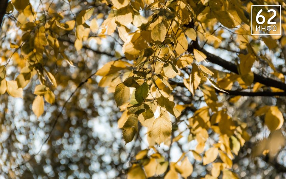 Синоптики рассказали рязанцам о погоде на 19 сентября - 62ИНФО Синоптики рассказали рязанцам о погоде на 19 сентября - 62ИНФО