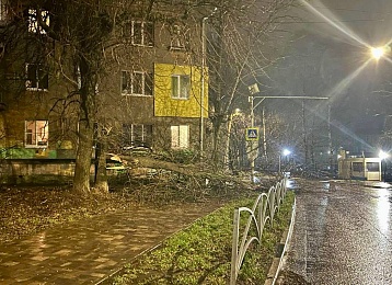 Фото последствий: ураган в Рязани рушил стены, срывал крыши и сносил остановки