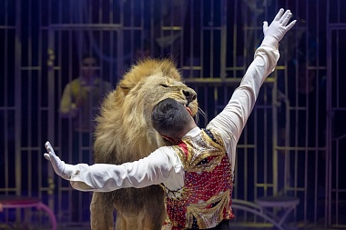 В Рязани покажут шоу с 20-метровыми фонтанами