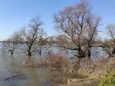 Ждем "Рязанское море": синоптики дали прогноз по половодью на Оке