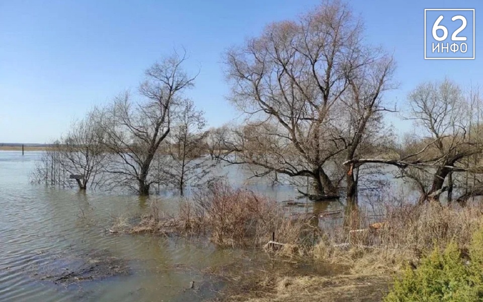 Ждем "Рязанское море": синоптики дали прогноз по половодью на Оке - 62ИНФО