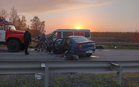 Установлены личности пострадавших в смертельной аварии в Пронском районе Установлены личности пострадавших в смертельной аварии в Пронском районе