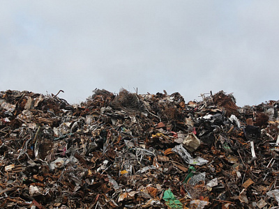 Власти опровергли ввоз московского мусора в Рыбновский район