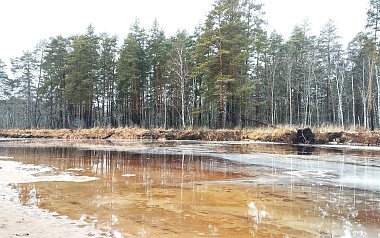 На реке Пра зафиксировали самый низкий уровень половодья за всю историю наблюдений