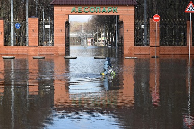 Рязанцы начали плавать на лодках и сап-бордах по затопленному Лесопарку